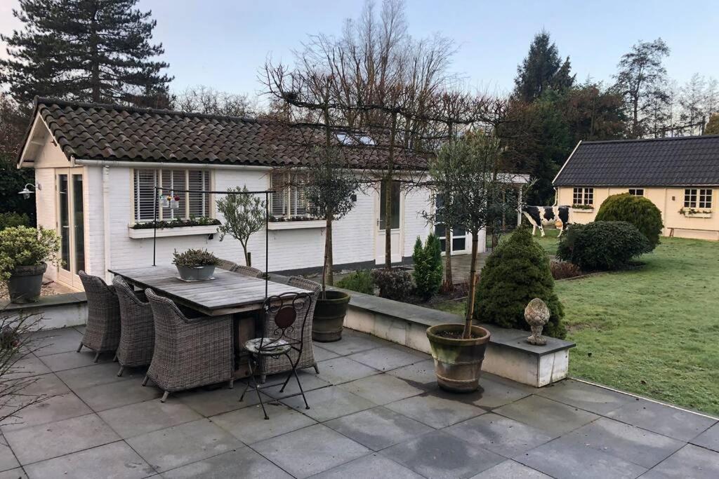 Tiny House In Tuin Van De Statige Villa Mariahof ドルドレヒト エクステリア 写真