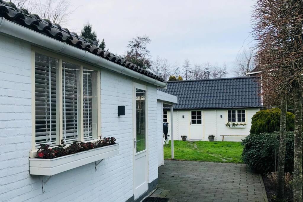 Tiny House In Tuin Van De Statige Villa Mariahof ドルドレヒト エクステリア 写真