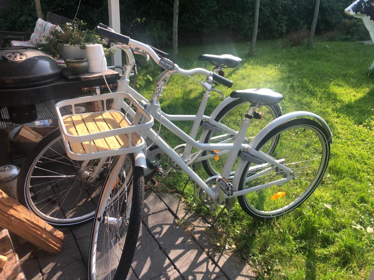 Tiny House In Tuin Van De Statige Villa Mariahof ドルドレヒト エクステリア 写真