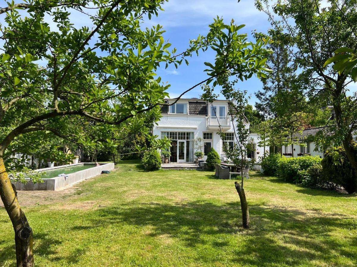Tiny House In Tuin Van De Statige Villa Mariahof ドルドレヒト エクステリア 写真